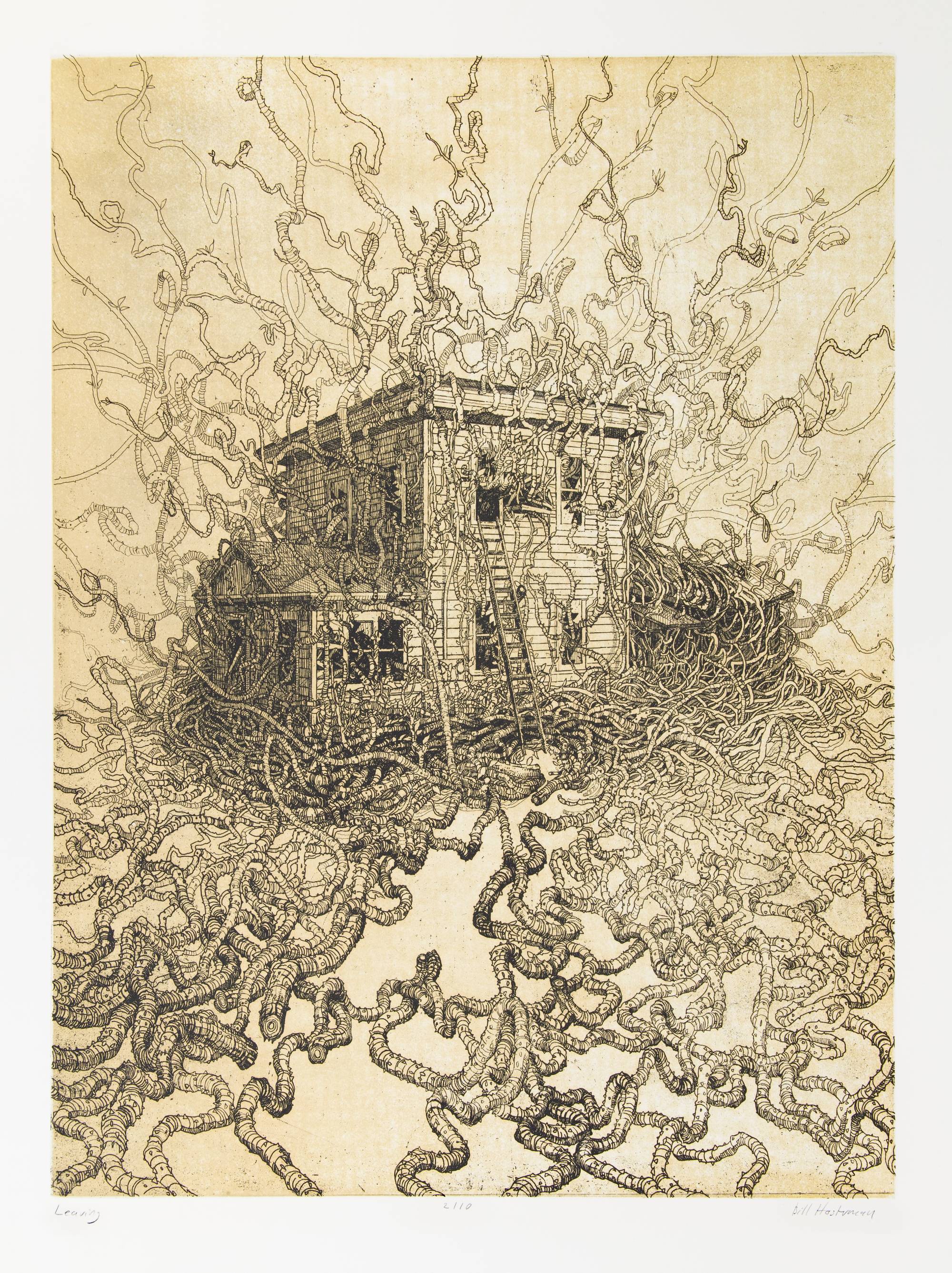 etching of midwestern-style two-story house covered in vines